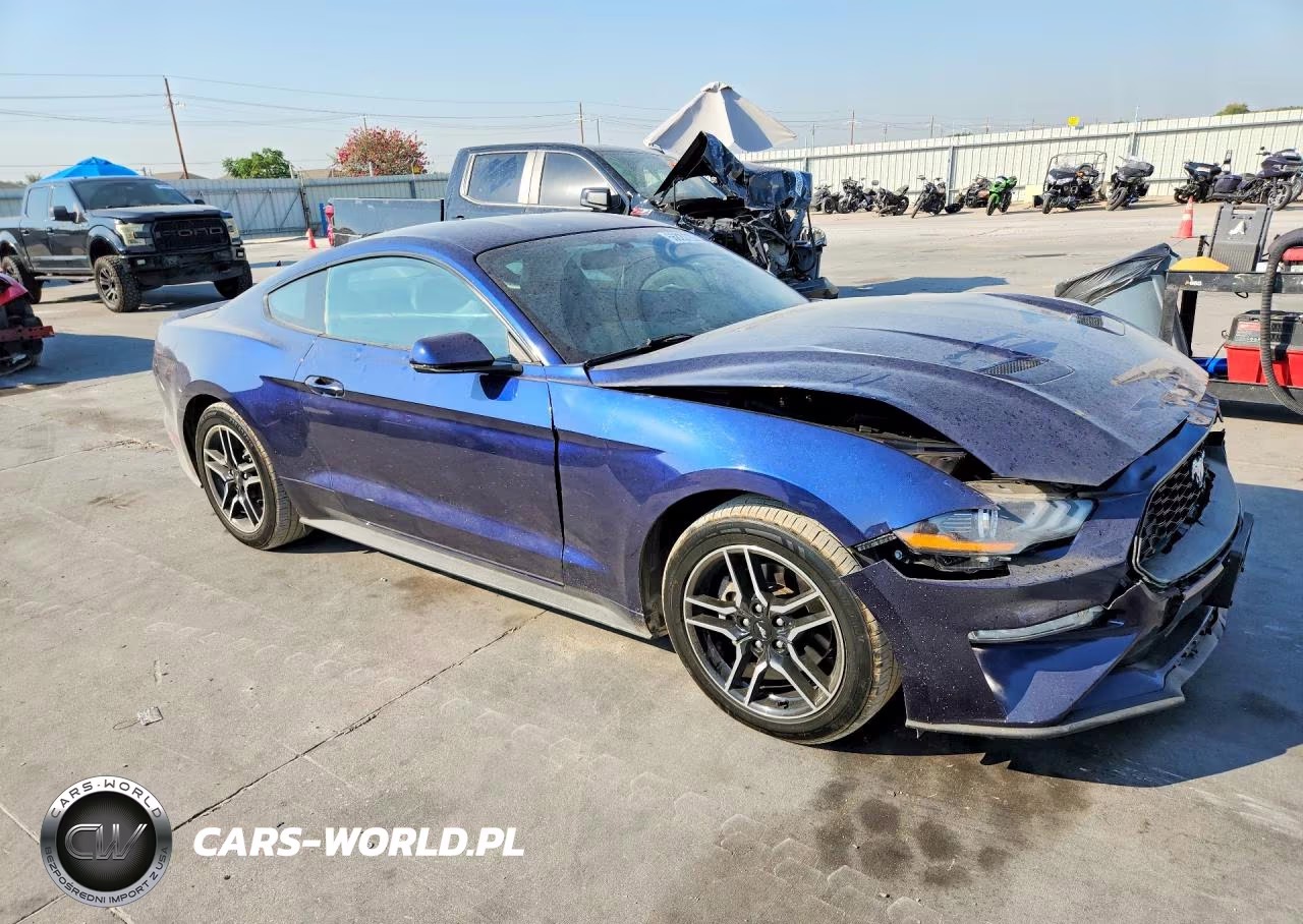 2019 Ford Mustang VIN:1FA6P8TH8K5125314 - 4