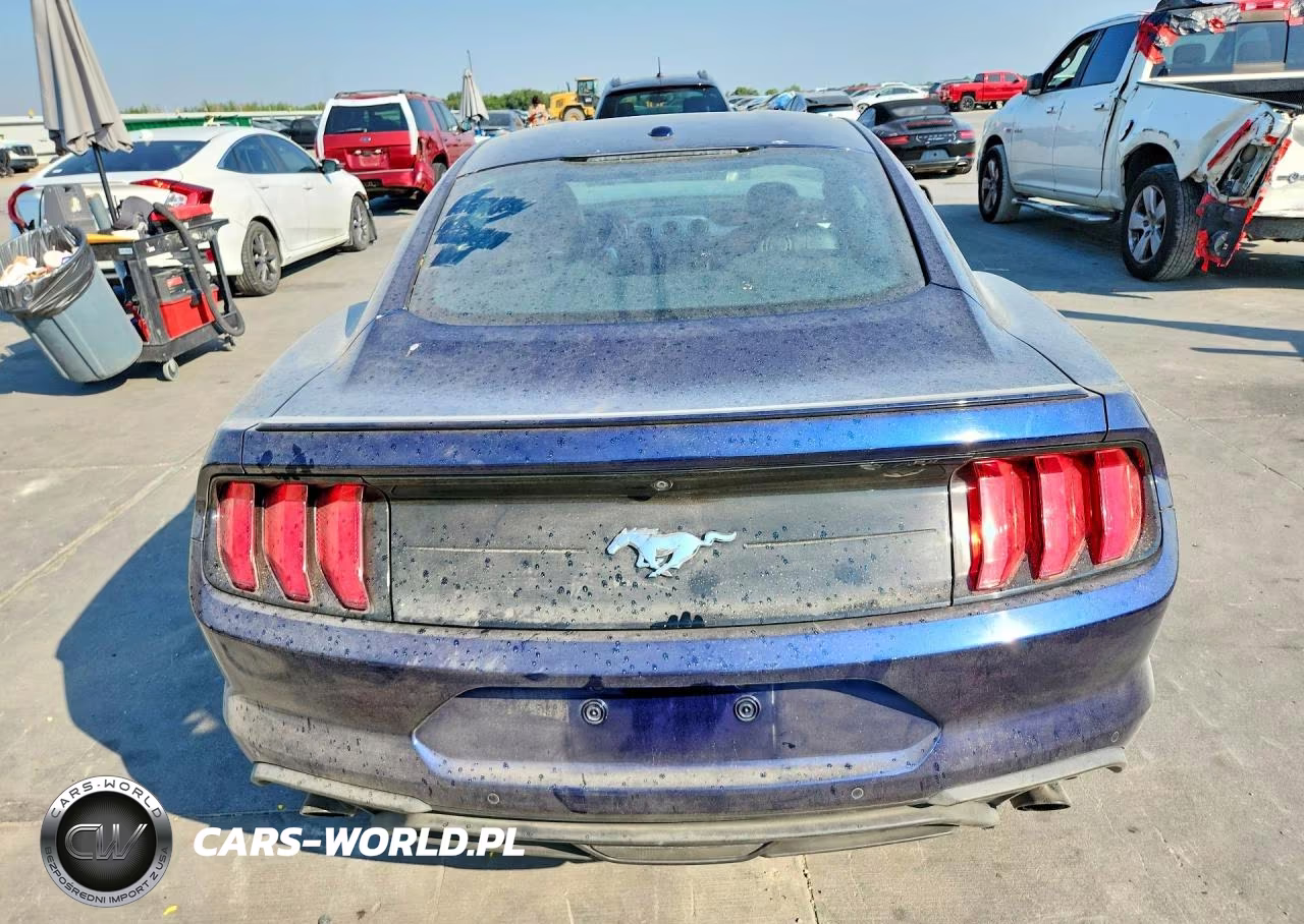 2019 Ford Mustang VIN:1FA6P8TH8K5125314 - 6