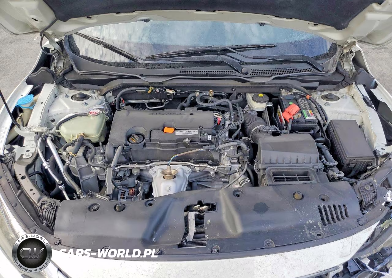 2017 Honda Civic Lx VIN:2HGFC2F51HH565138 - 11