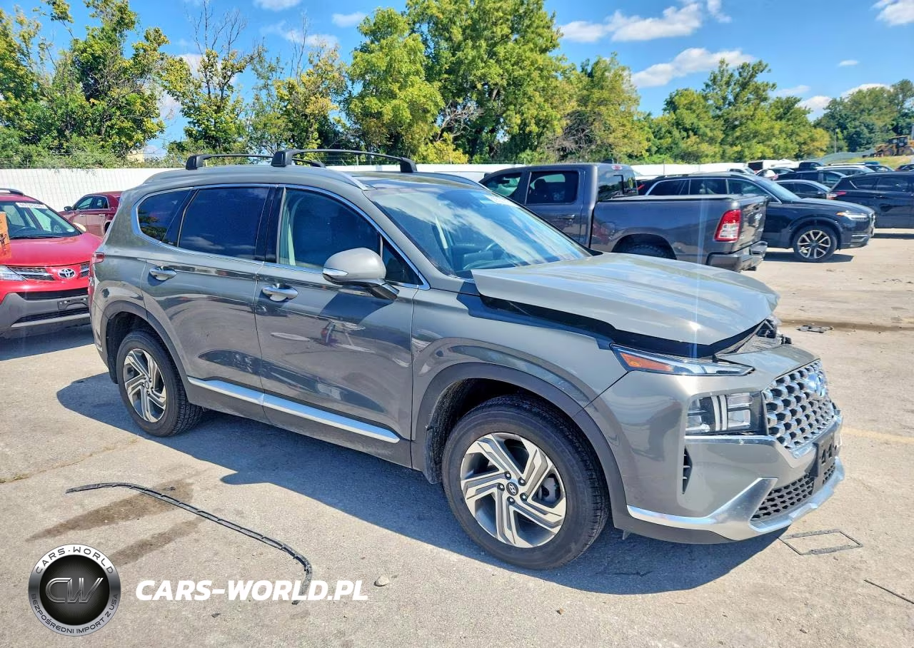 2022 Hyundai Santa Fe Sel VIN:5NMS3DAJ8NH380517 - 4