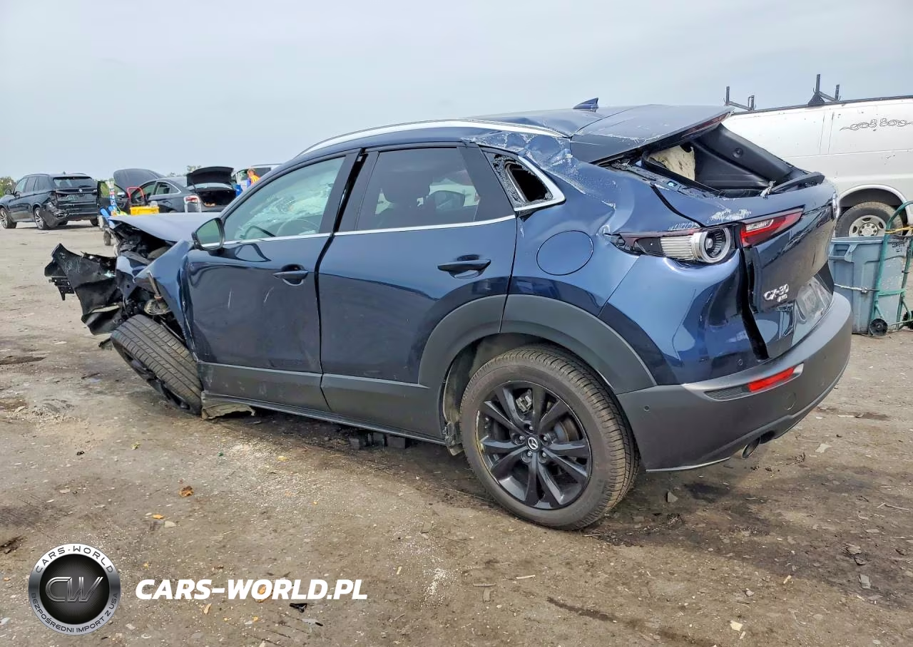 2021 Mazda Cx-30 Premium Plus VIN:3MVDMBEY9MM303604 - 2