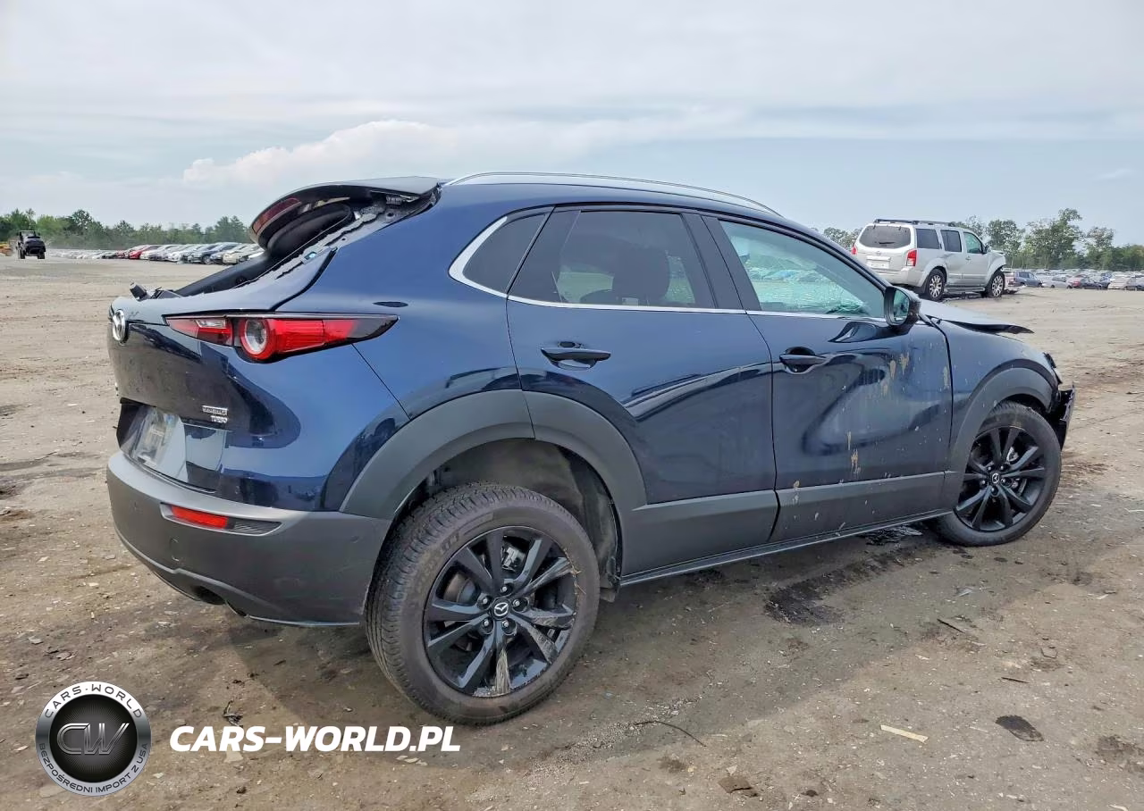 2021 Mazda Cx-30 Premium Plus VIN:3MVDMBEY9MM303604 - 3