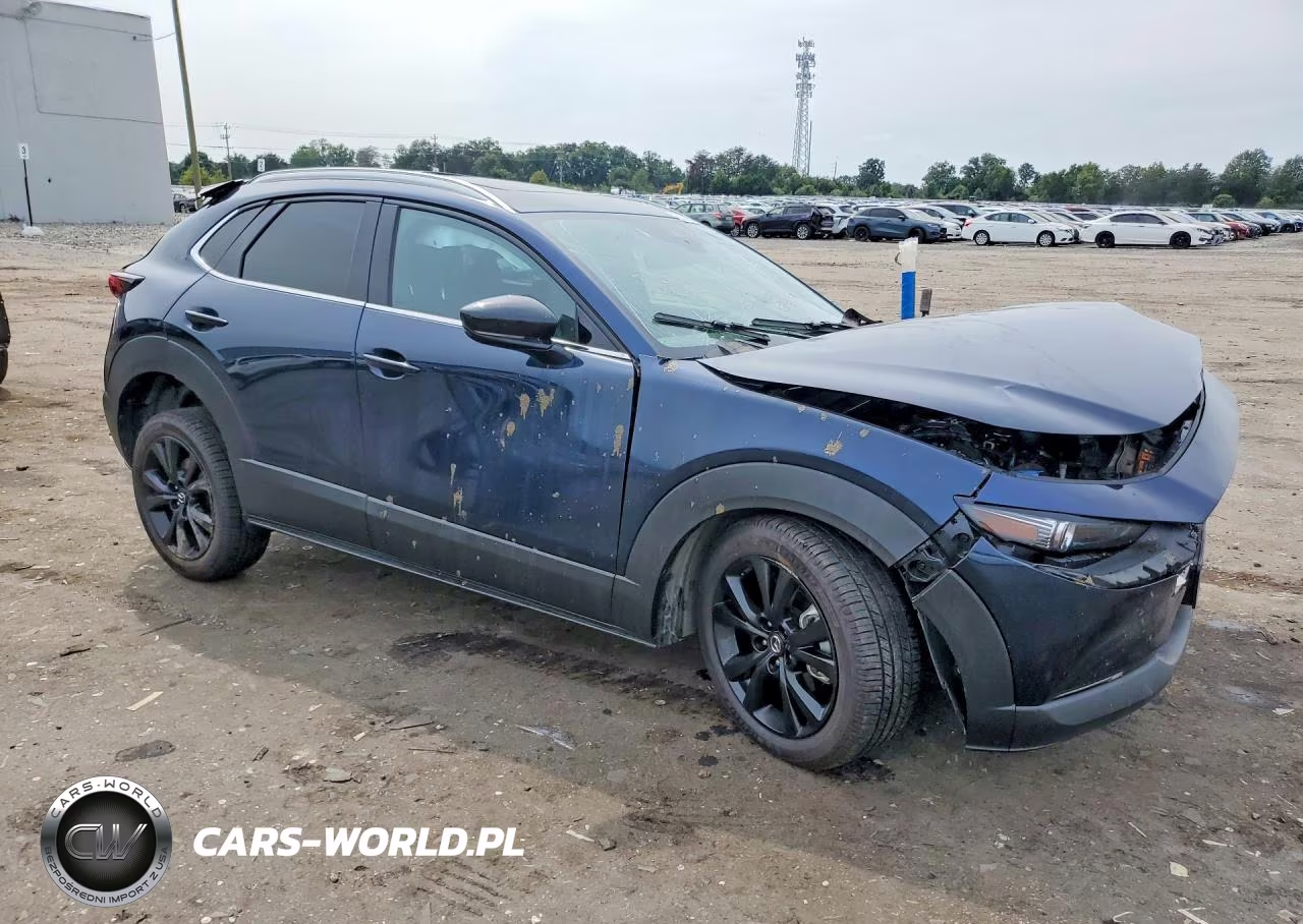 2021 Mazda Cx-30 Premium Plus VIN:3MVDMBEY9MM303604 - 4