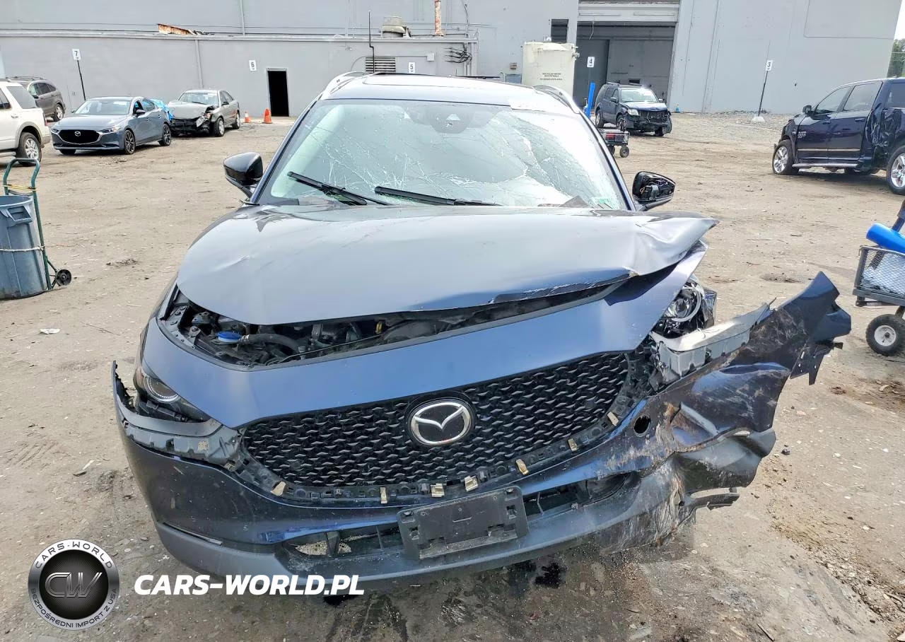2021 Mazda Cx-30 Premium Plus VIN:3MVDMBEY9MM303604 - 5