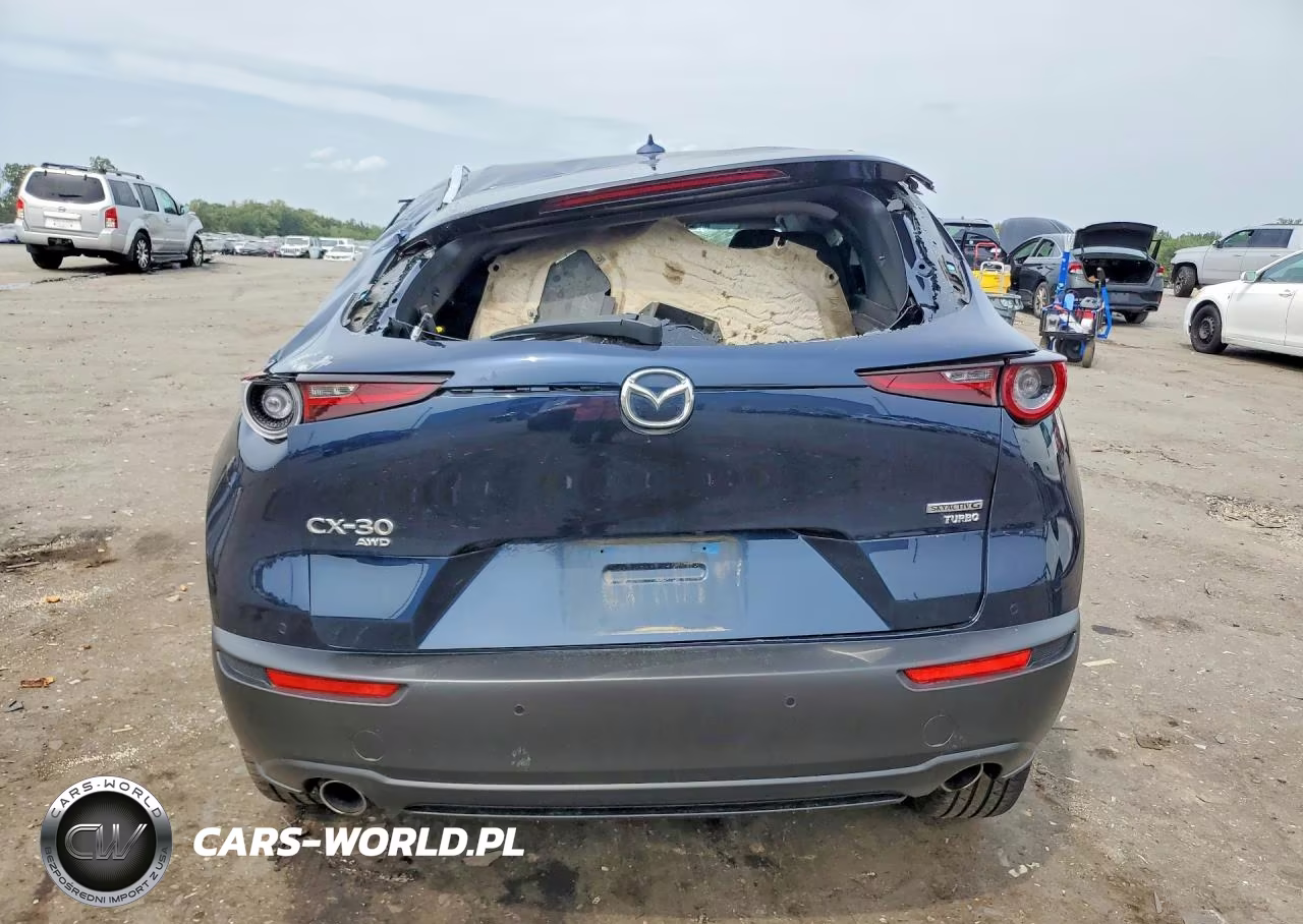 2021 Mazda Cx-30 Premium Plus VIN:3MVDMBEY9MM303604 - 6
