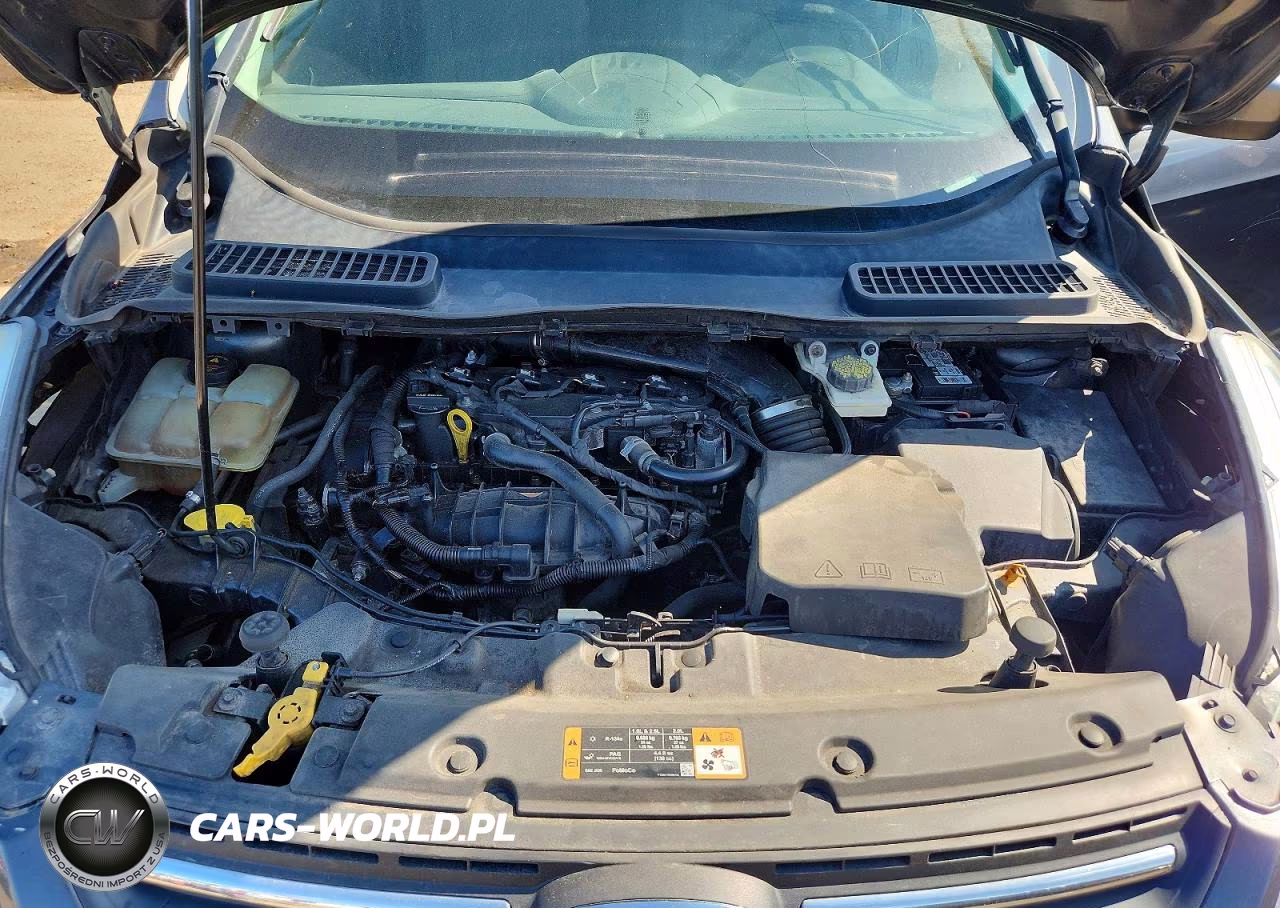 2016 Ford Escape Se VIN:1FMCU9GX2GUC82696 - 12