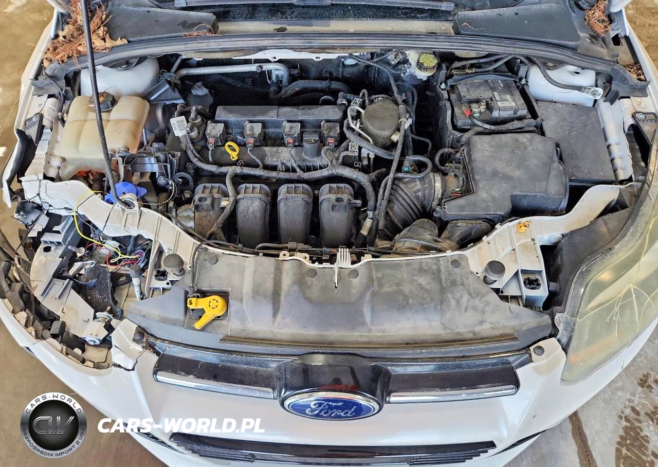2014 Ford Focus Titanium VIN:1FADP3N21EL395620 - 11