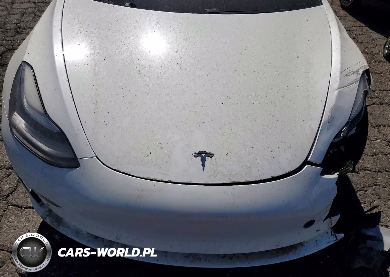 2021 Tesla Model 3 VIN:5YJ3E1ECXMF072225 - 11