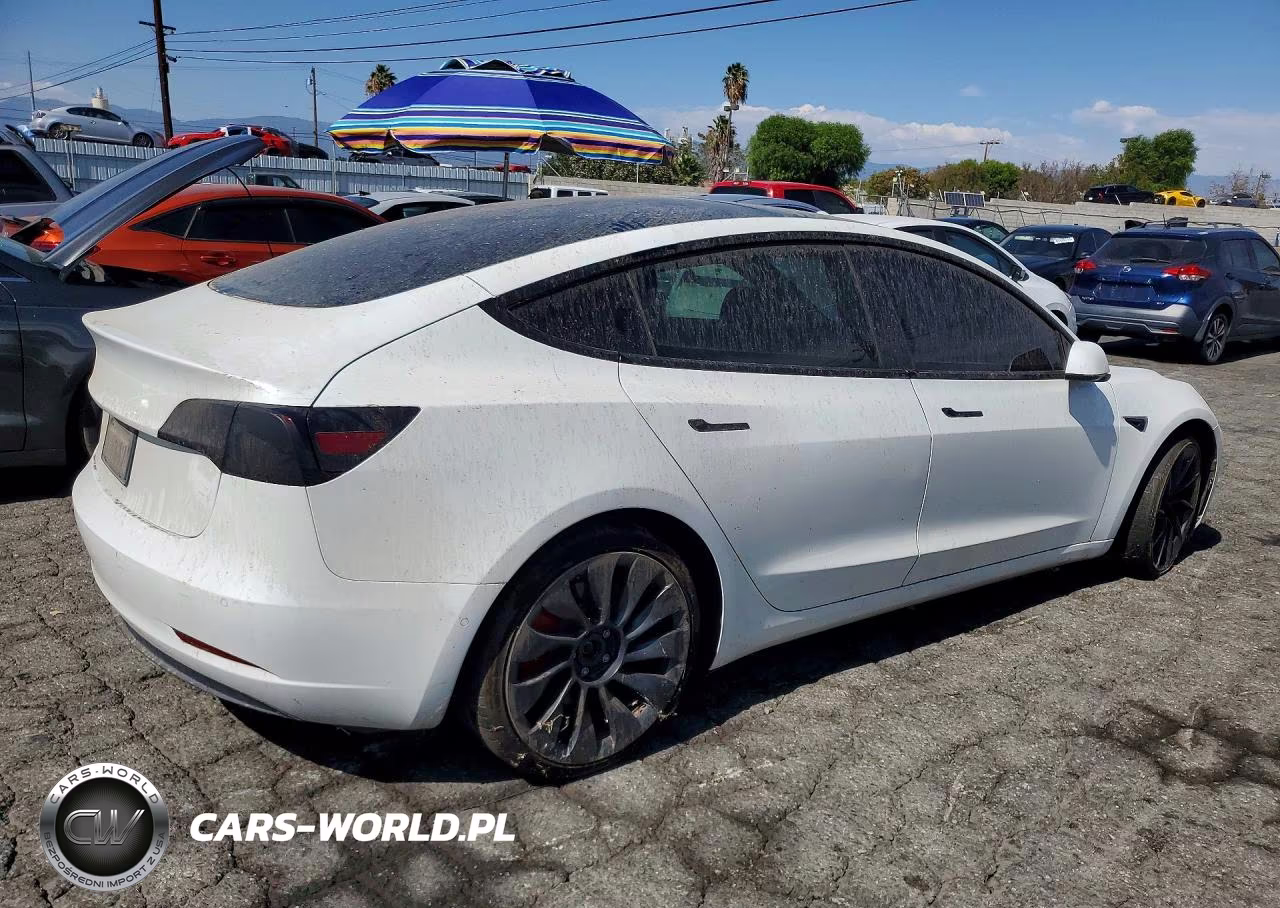 2021 Tesla Model 3 VIN:5YJ3E1ECXMF072225 - 3