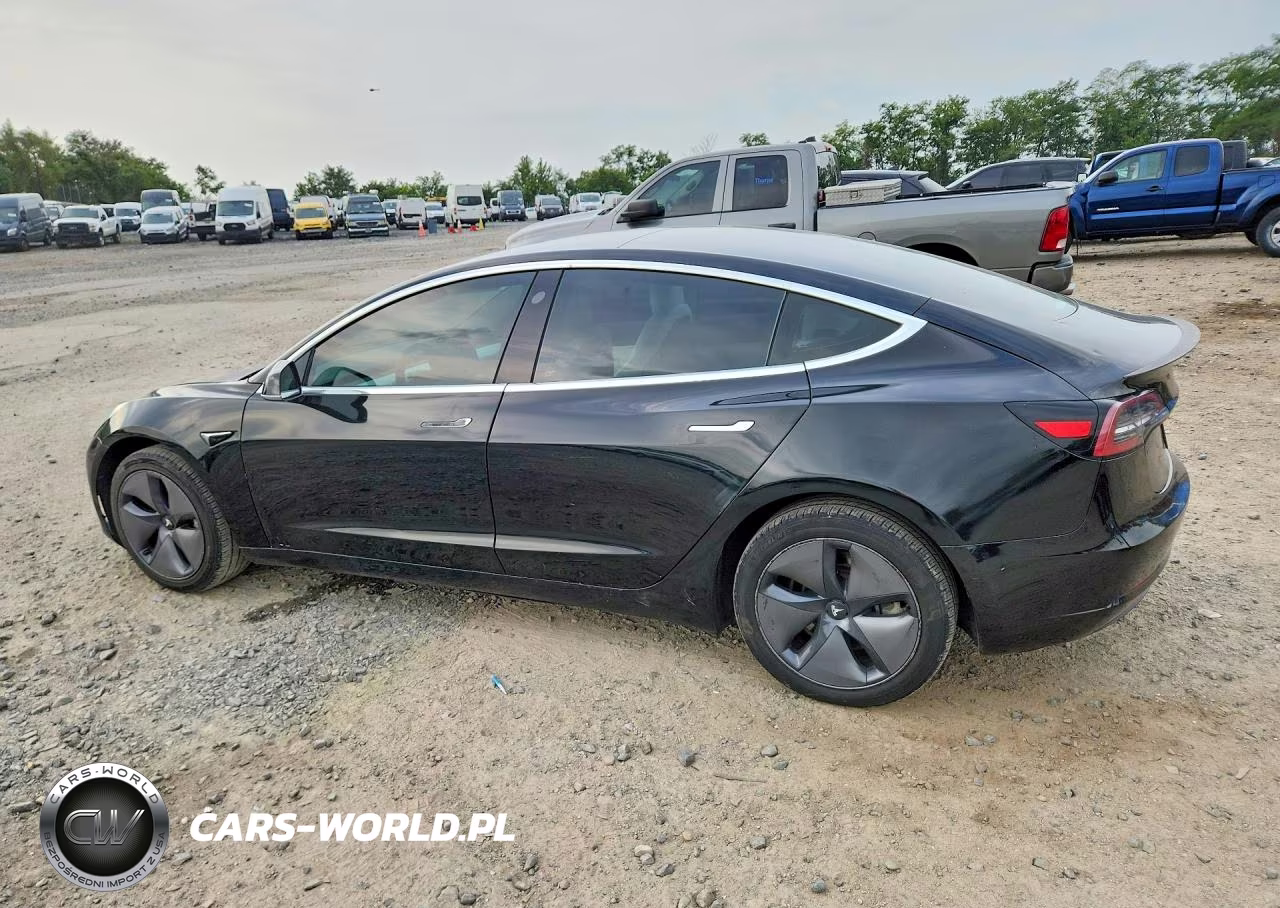 2020 Tesla Model 3 VIN:5YJ3E1EA8LF591013 - 2