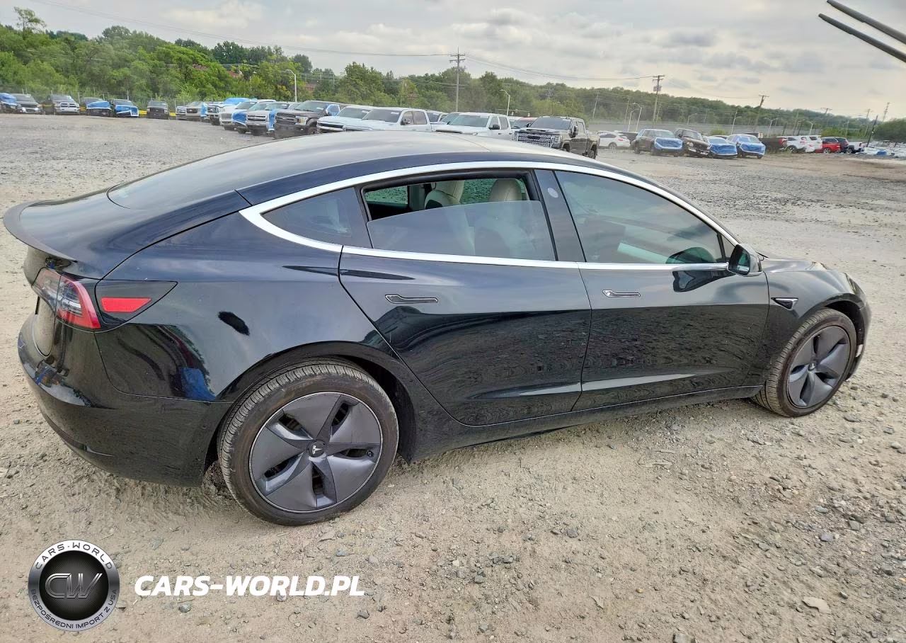 2020 Tesla Model 3 VIN:5YJ3E1EA8LF591013 - 3