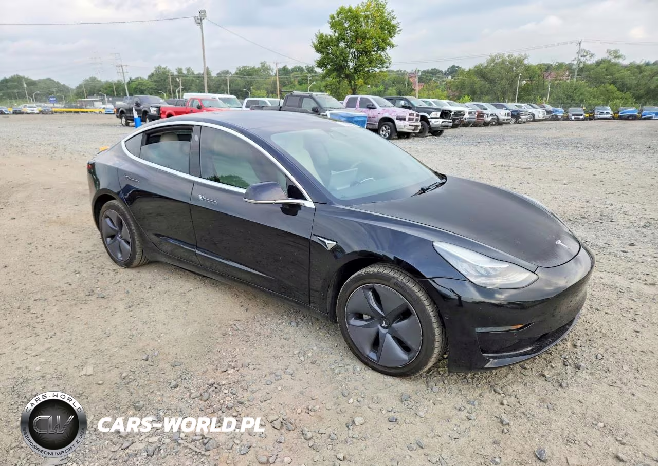2020 Tesla Model 3 VIN:5YJ3E1EA8LF591013 - 4