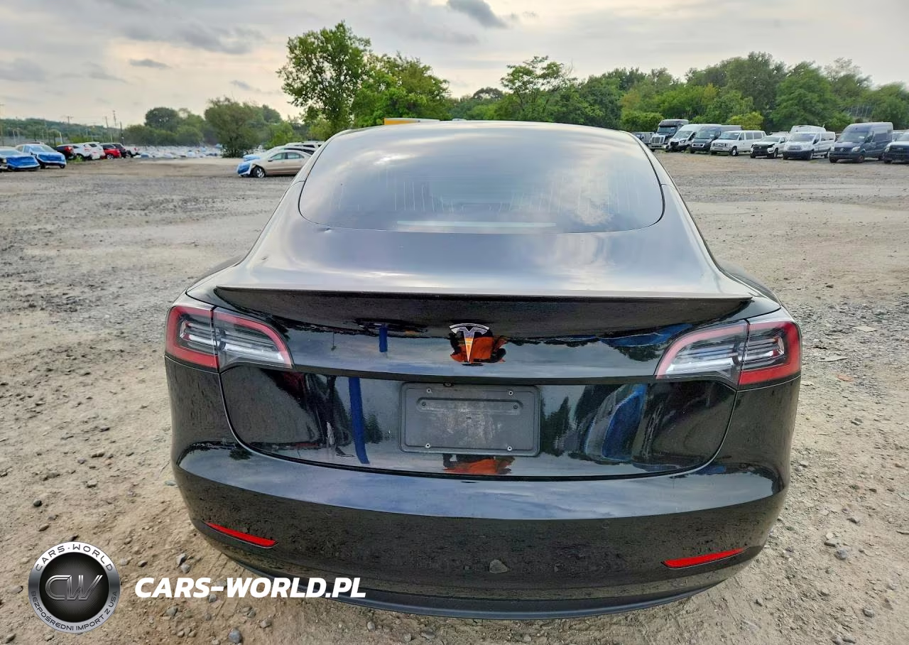2020 Tesla Model 3 VIN:5YJ3E1EA8LF591013 - 6