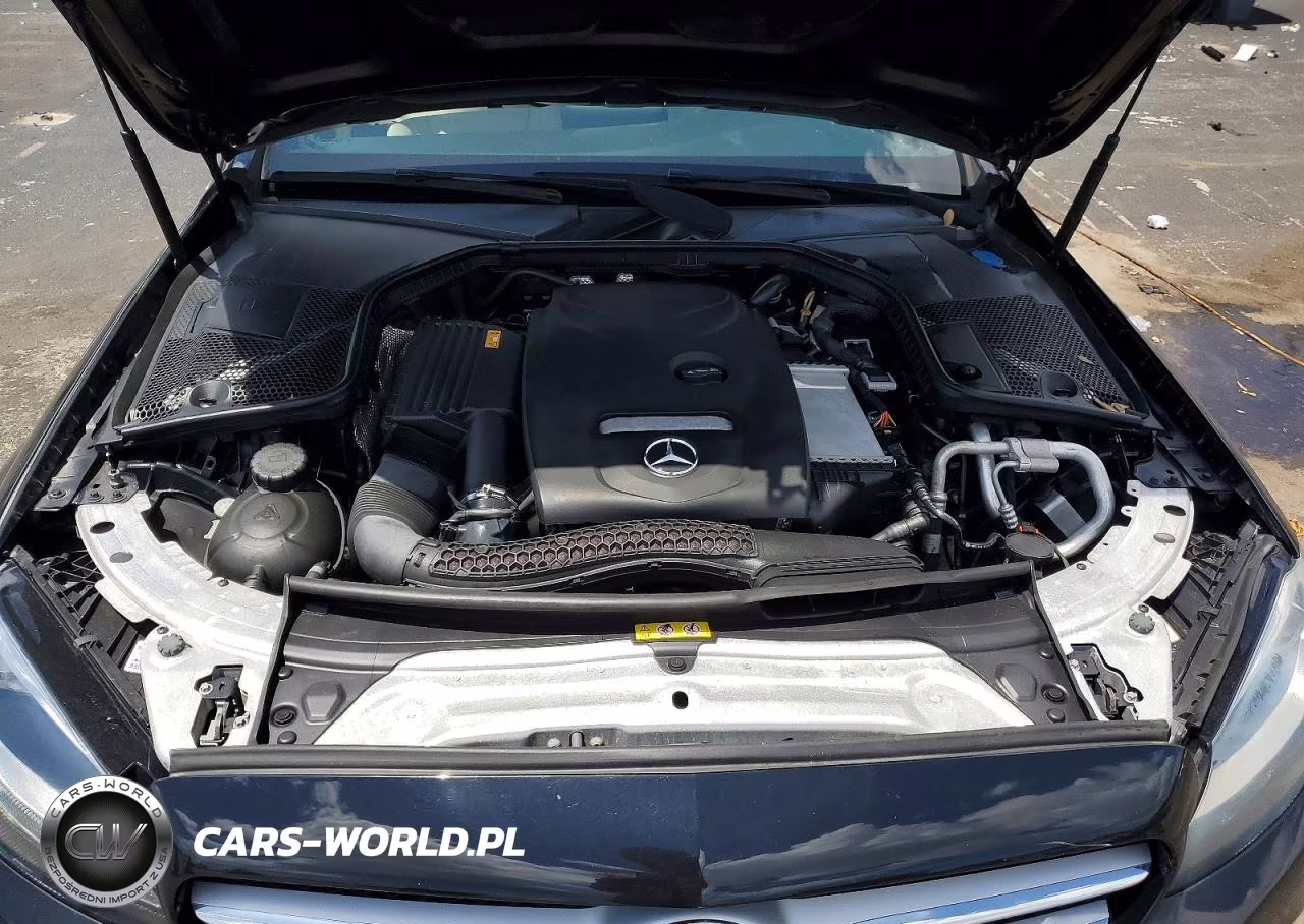 2018 Mercedes-Benz C 300 VIN:55SWF4JB8JU248935 - 11