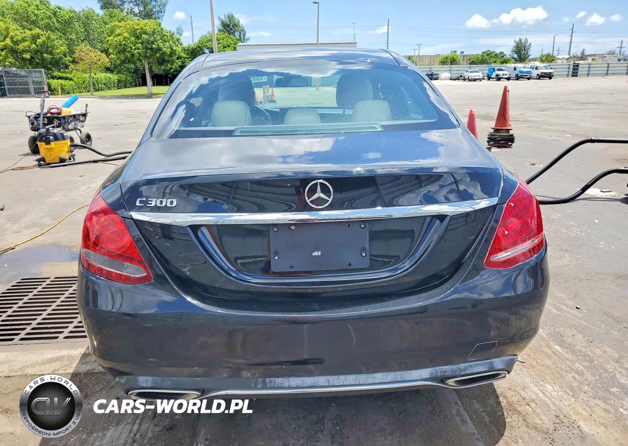 2018 Mercedes-Benz C 300 VIN:55SWF4JB8JU248935 - 6