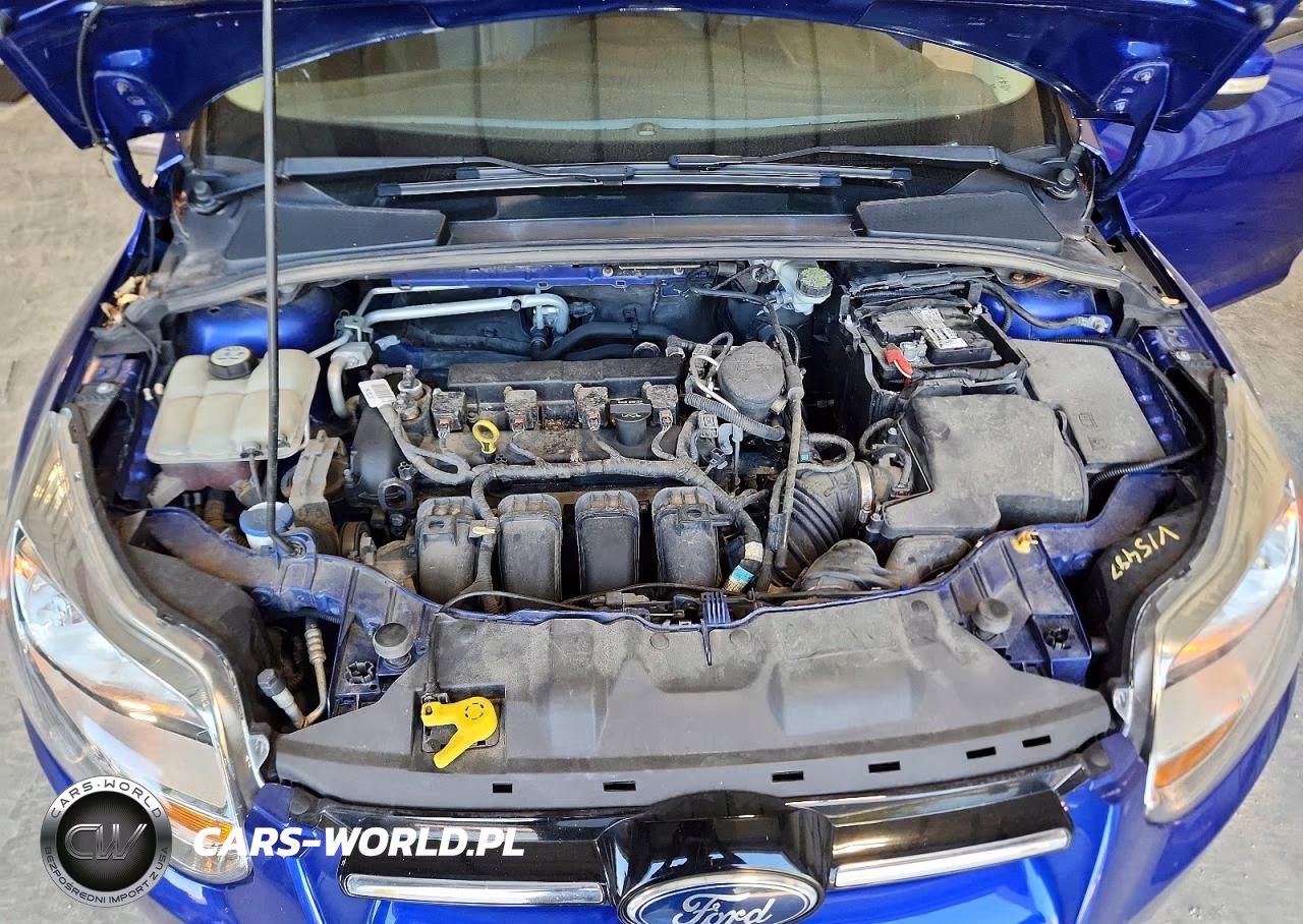 2013 Ford Focus Se VIN:1FADP3K29DL145755 - 11