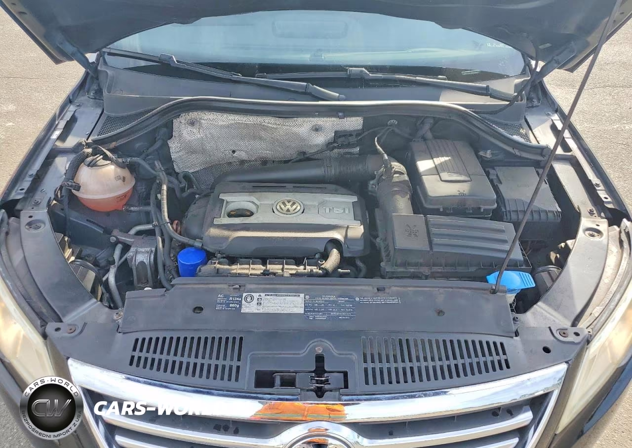 2010 Volkswagen Tiguan Se VIN:WVGBV7AX1AW000744 - 12