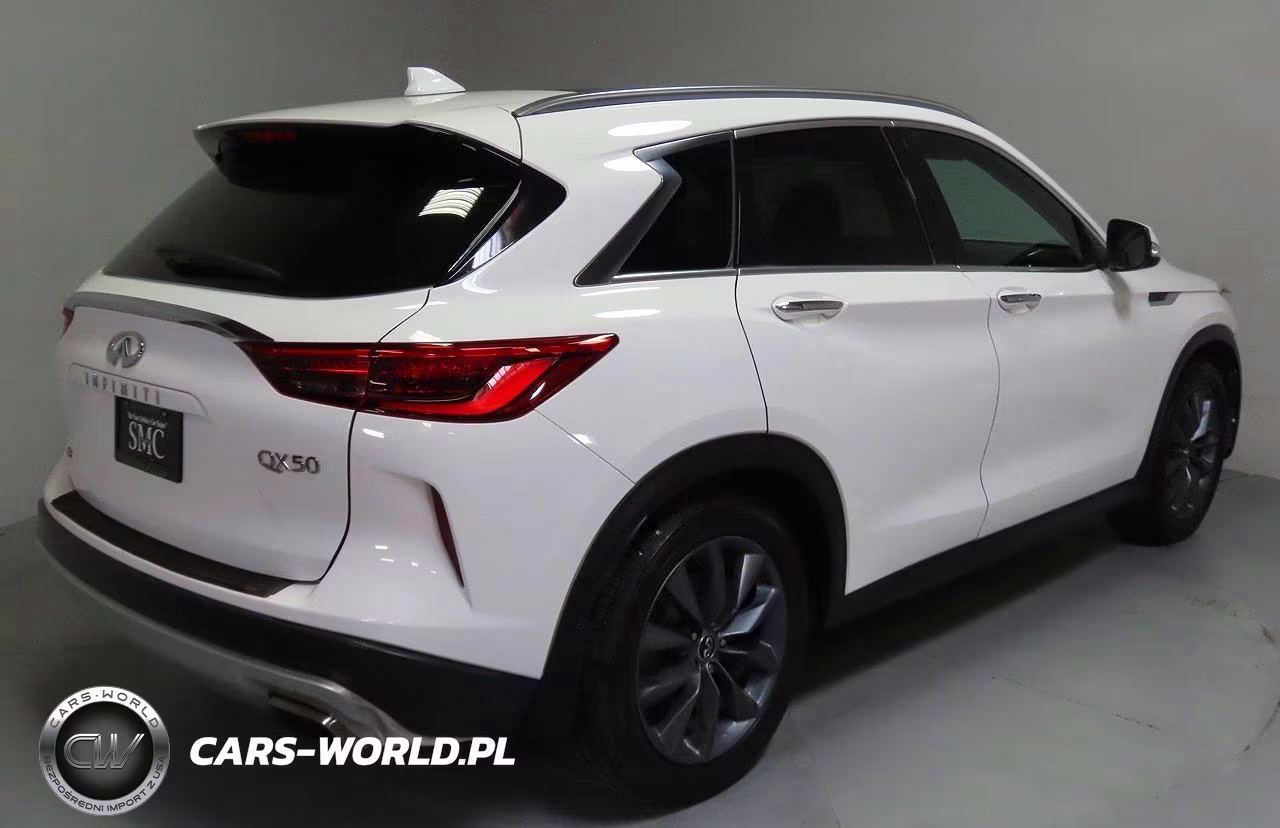 2019 Infiniti Qx50 Luxe VIN:3PCAJ5M32KF132328 - 3