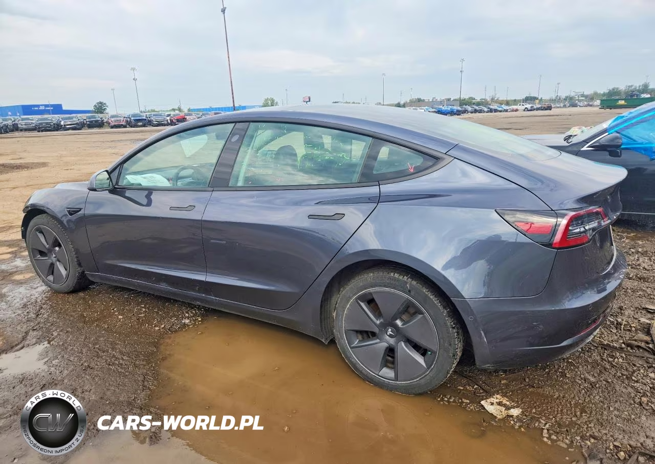 2021 Tesla Model 3 VIN:5YJ3E1EB5MF990391 - 2