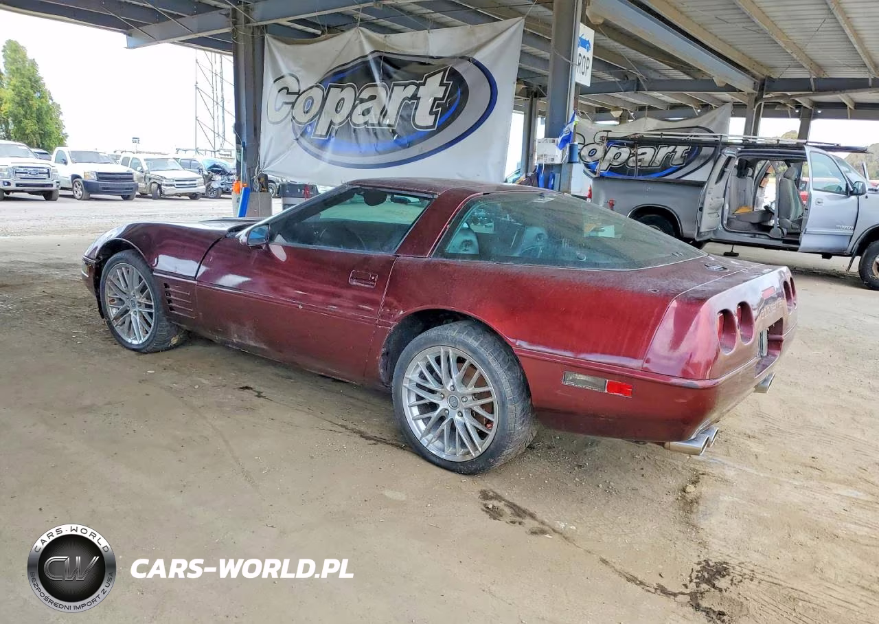 1994 Chevrolet Corvette VIN:1G1YY22P4R5116750 - 2