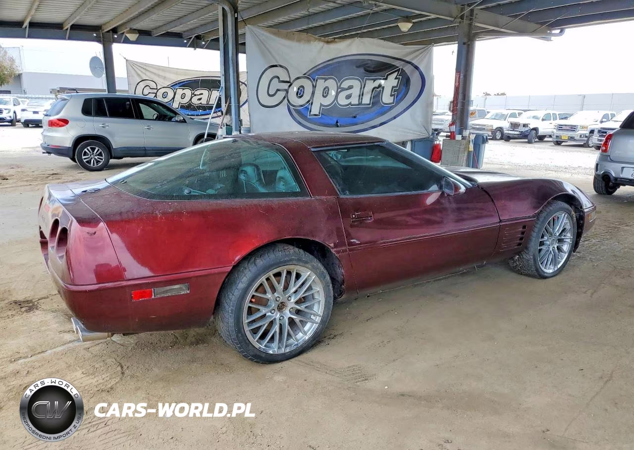 1994 Chevrolet Corvette VIN:1G1YY22P4R5116750 - 3