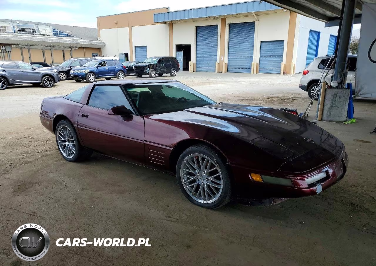1994 Chevrolet Corvette VIN:1G1YY22P4R5116750 - 4