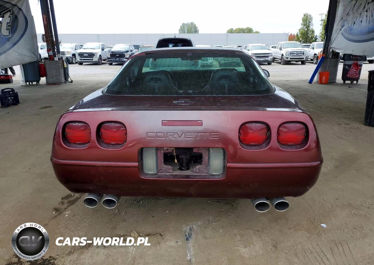 1994 Chevrolet Corvette VIN:1G1YY22P4R5116750 - 6