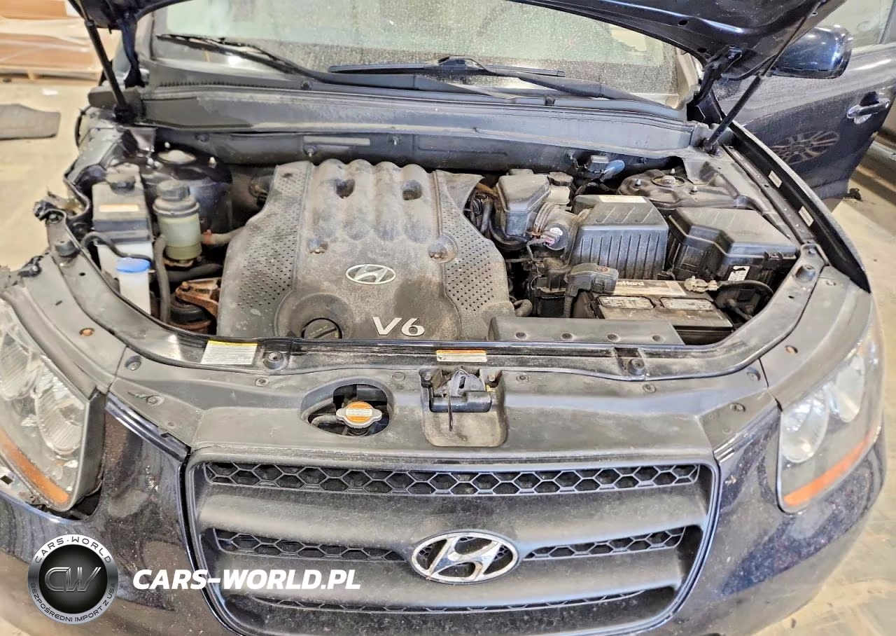2008 Hyundai Santa Fe Gls VIN:5NMSG13D68H174188 - 12