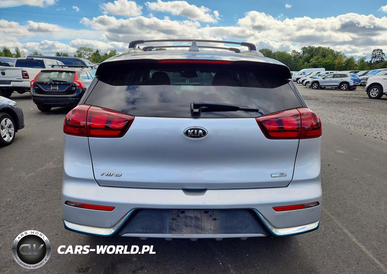 2018 Kia Niro Lx VIN:KNDCM3LD7J5202890 - 6
