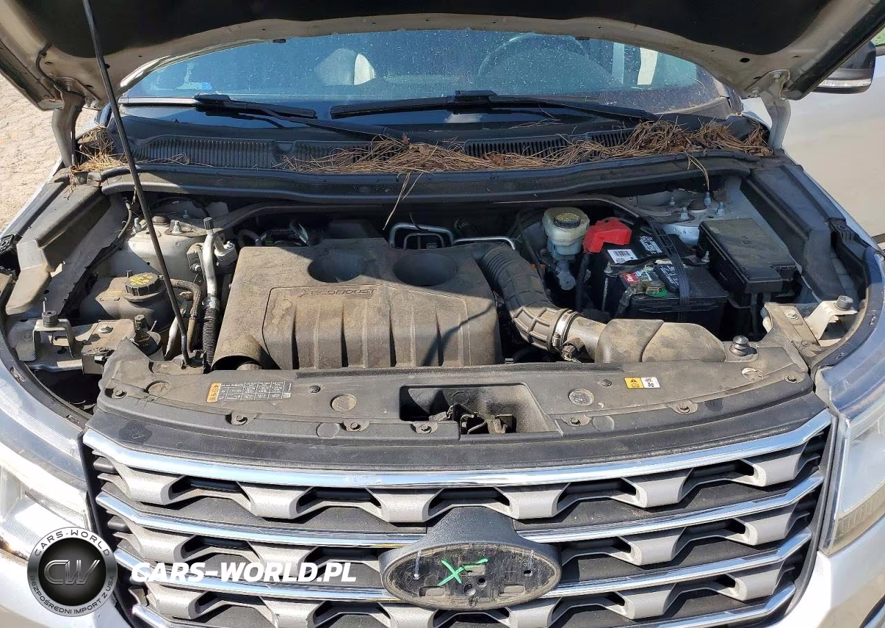 2017 Ford Explorer Xlt VIN:1FM5K7DH7HGD76525 - 12