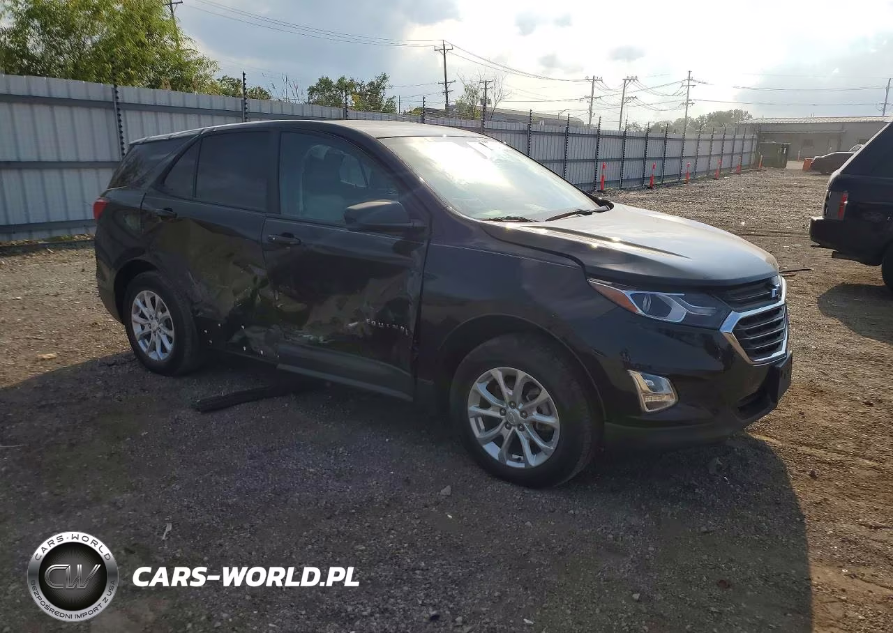 2020 Chevrolet Equinox Ls VIN:2GNAXSEVXL6273899 - 4