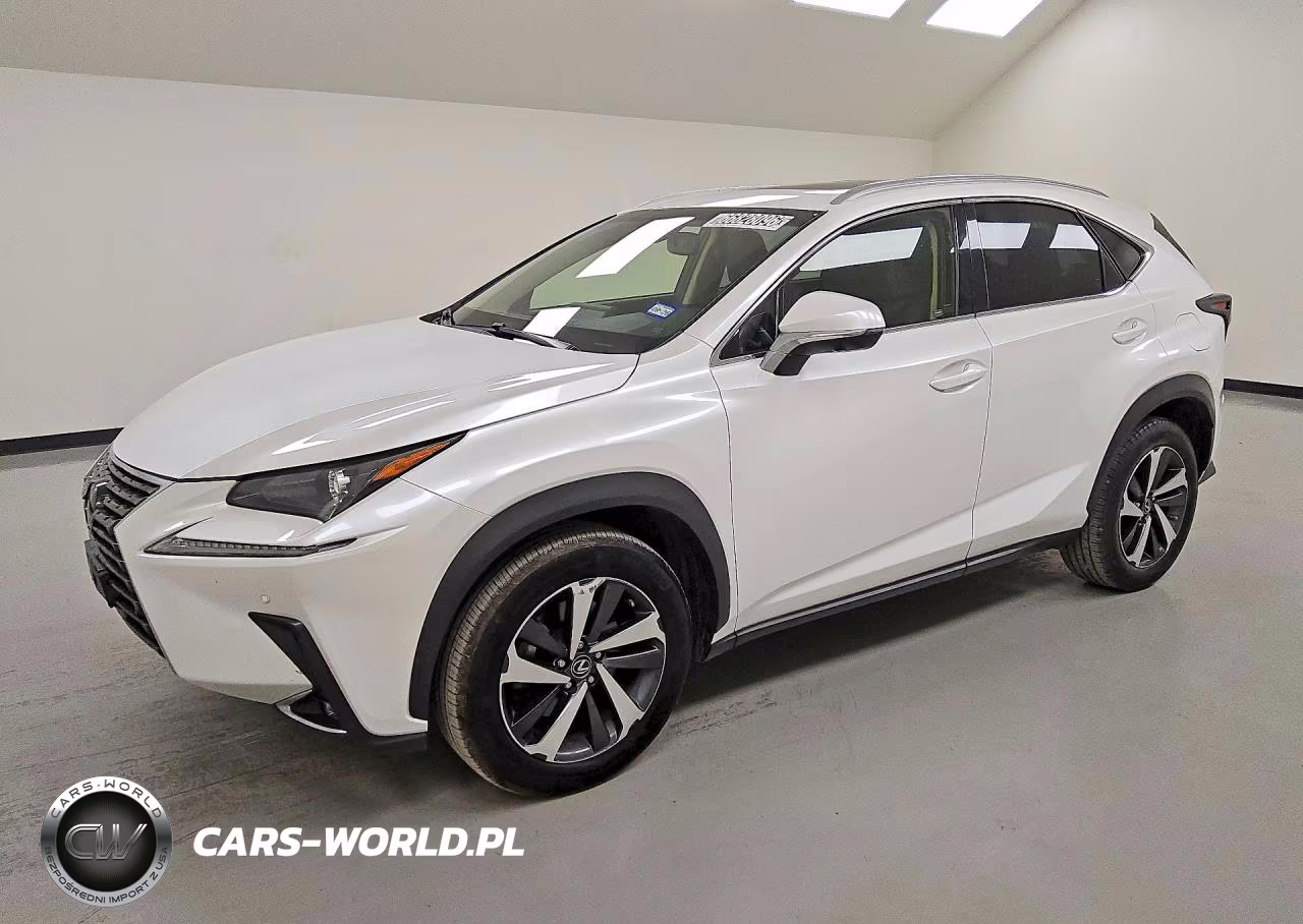 2019 Lexus Nx 300 Base – zdjęcie 1 z 14