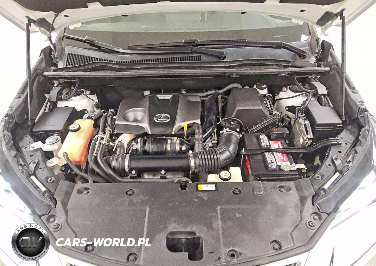 2019 Lexus Nx 300 Base VIN:JTJYARBZXK2136205 - 12