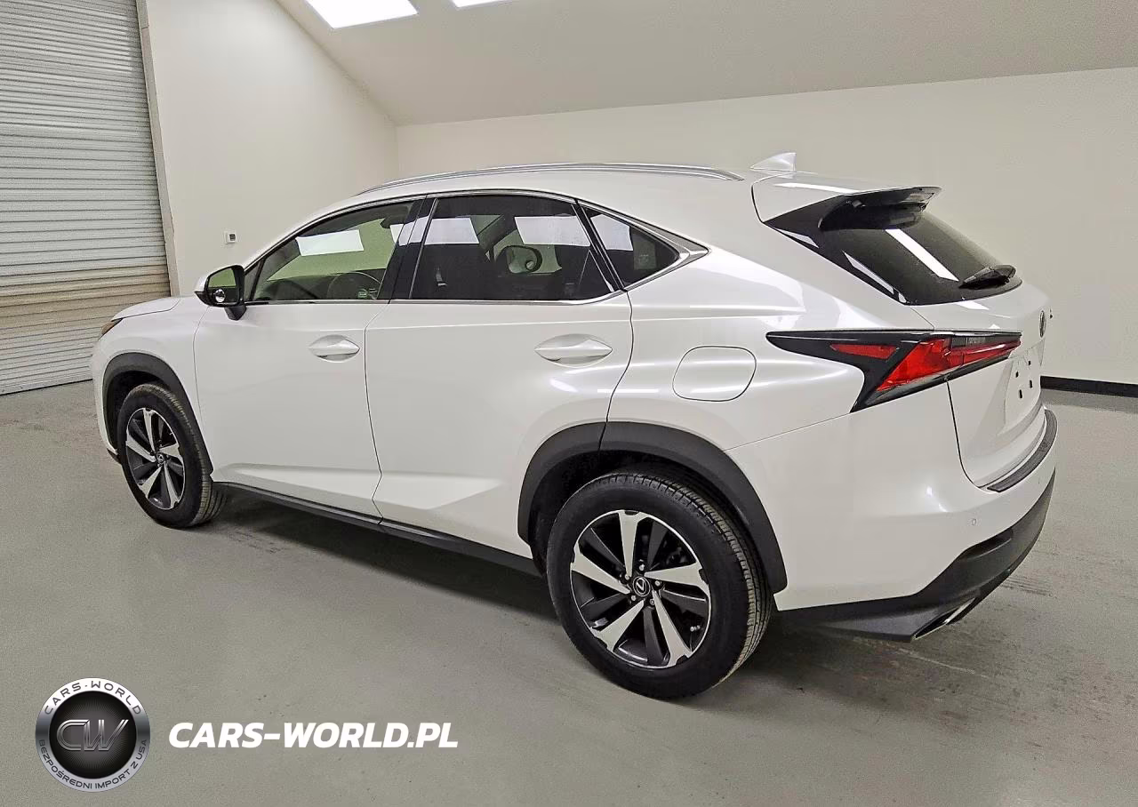 2019 Lexus Nx 300 Base VIN:JTJYARBZXK2136205 - 2