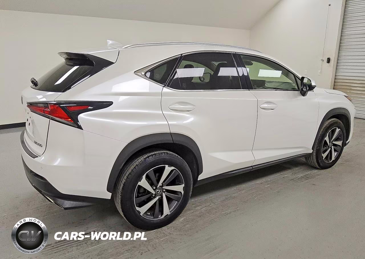 2019 Lexus Nx 300 Base VIN:JTJYARBZXK2136205 - 3