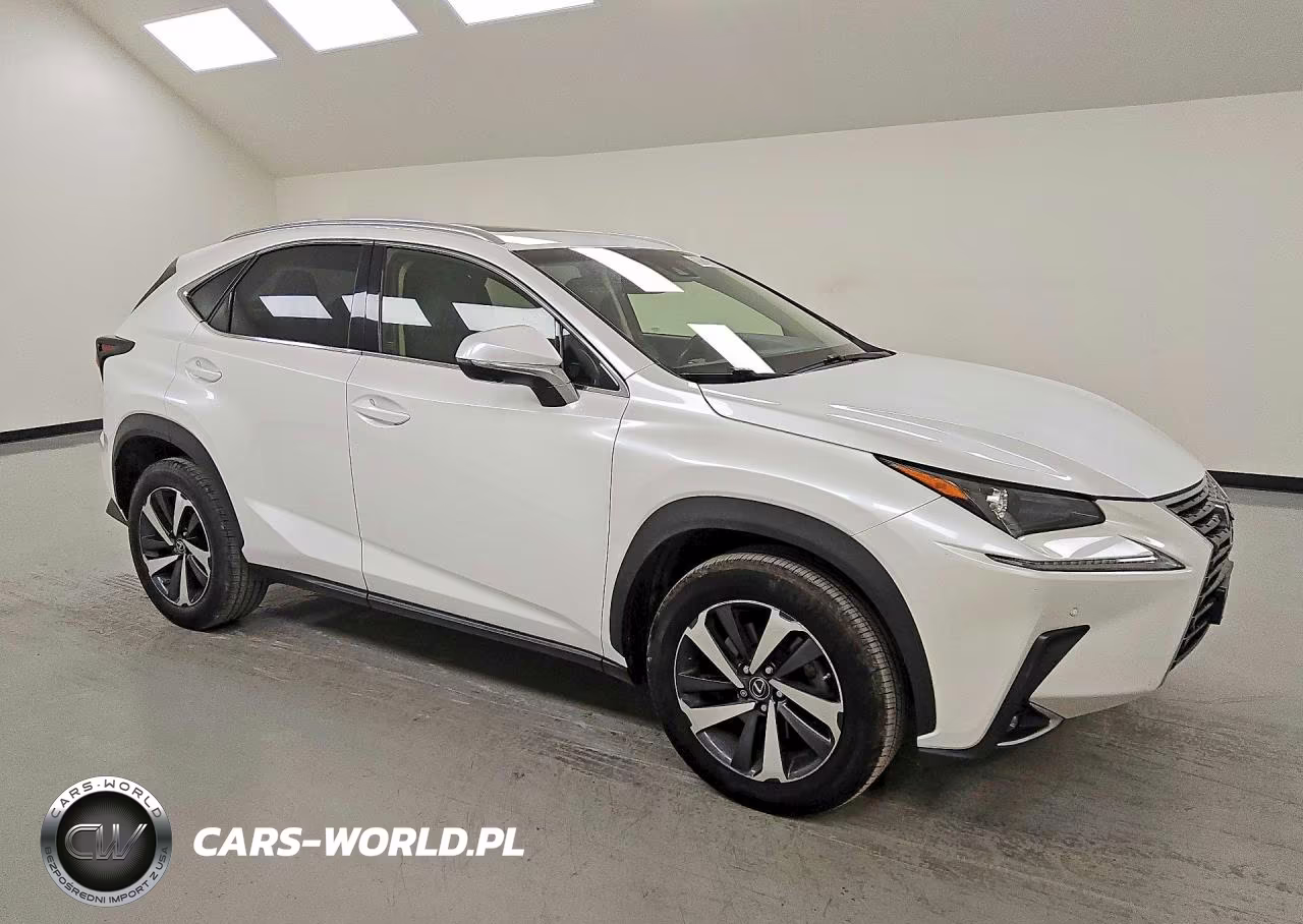 2019 Lexus Nx 300 Base VIN:JTJYARBZXK2136205 - 4