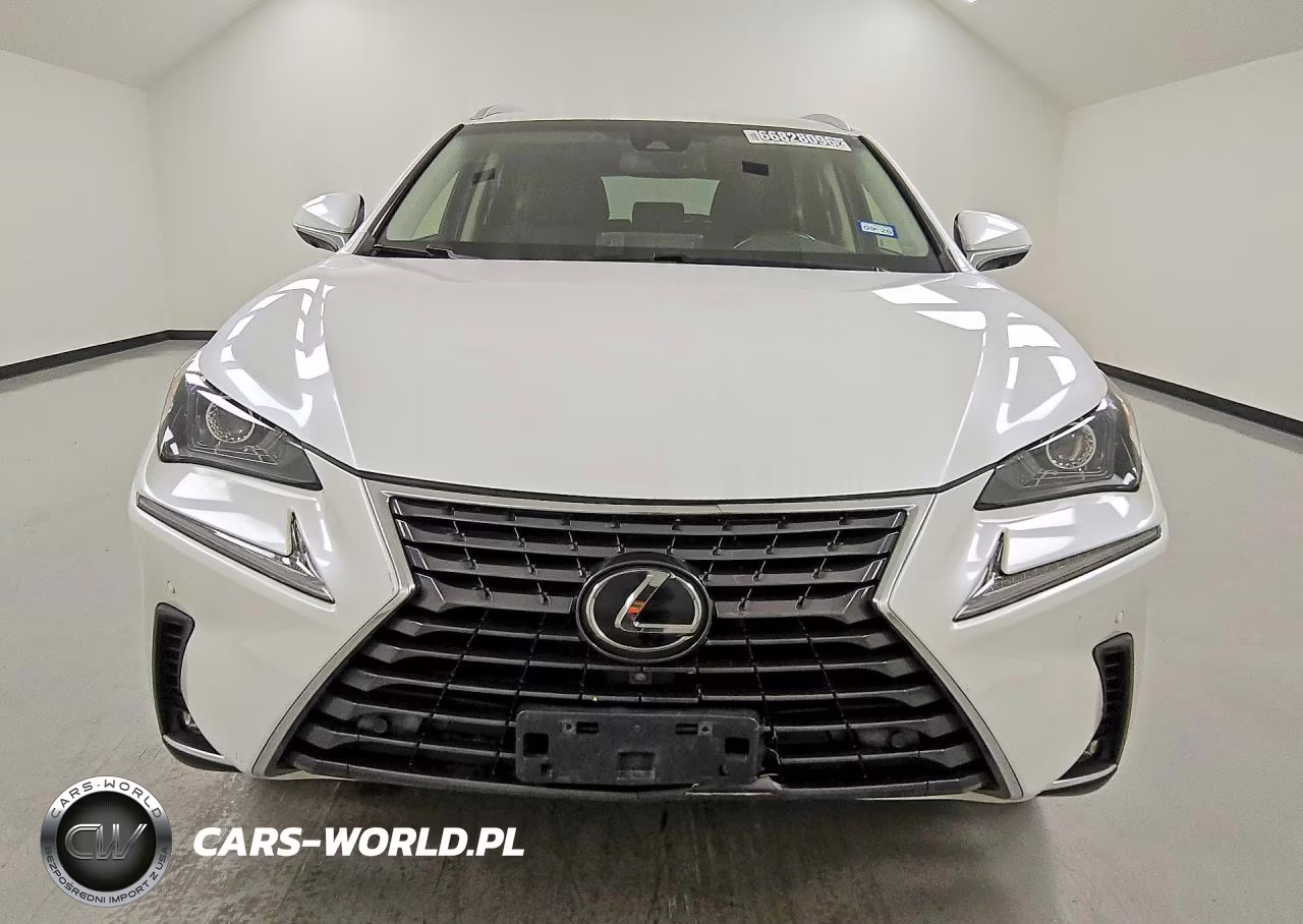 2019 Lexus Nx 300 Base VIN:JTJYARBZXK2136205 - 5