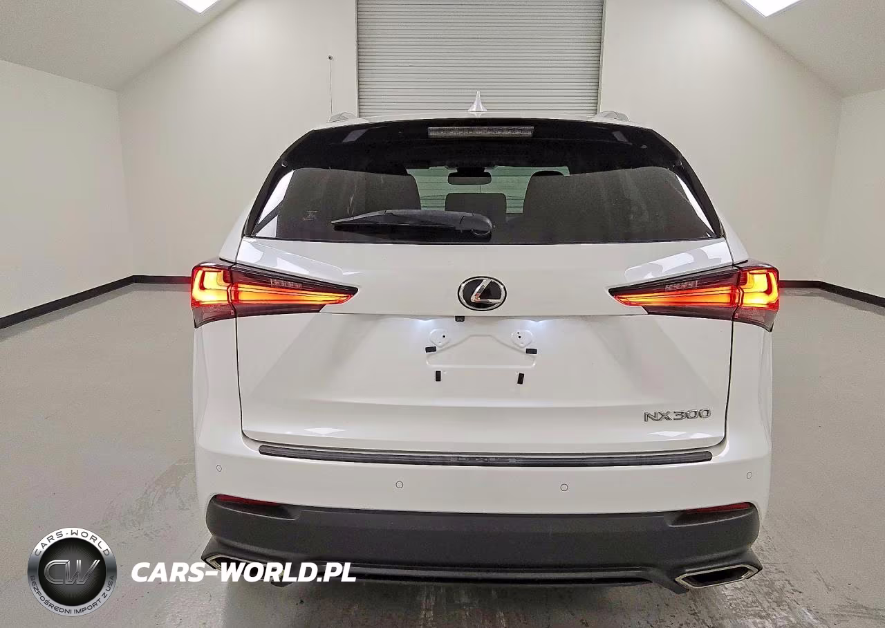 2019 Lexus Nx 300 Base VIN:JTJYARBZXK2136205 - 6