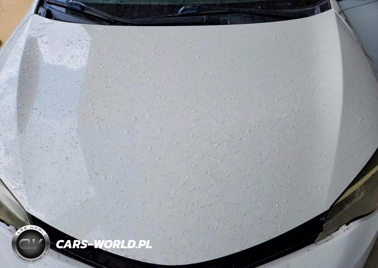 2019 Toyota Corolla Le VIN:5YFBURHE2KP877602 - 11