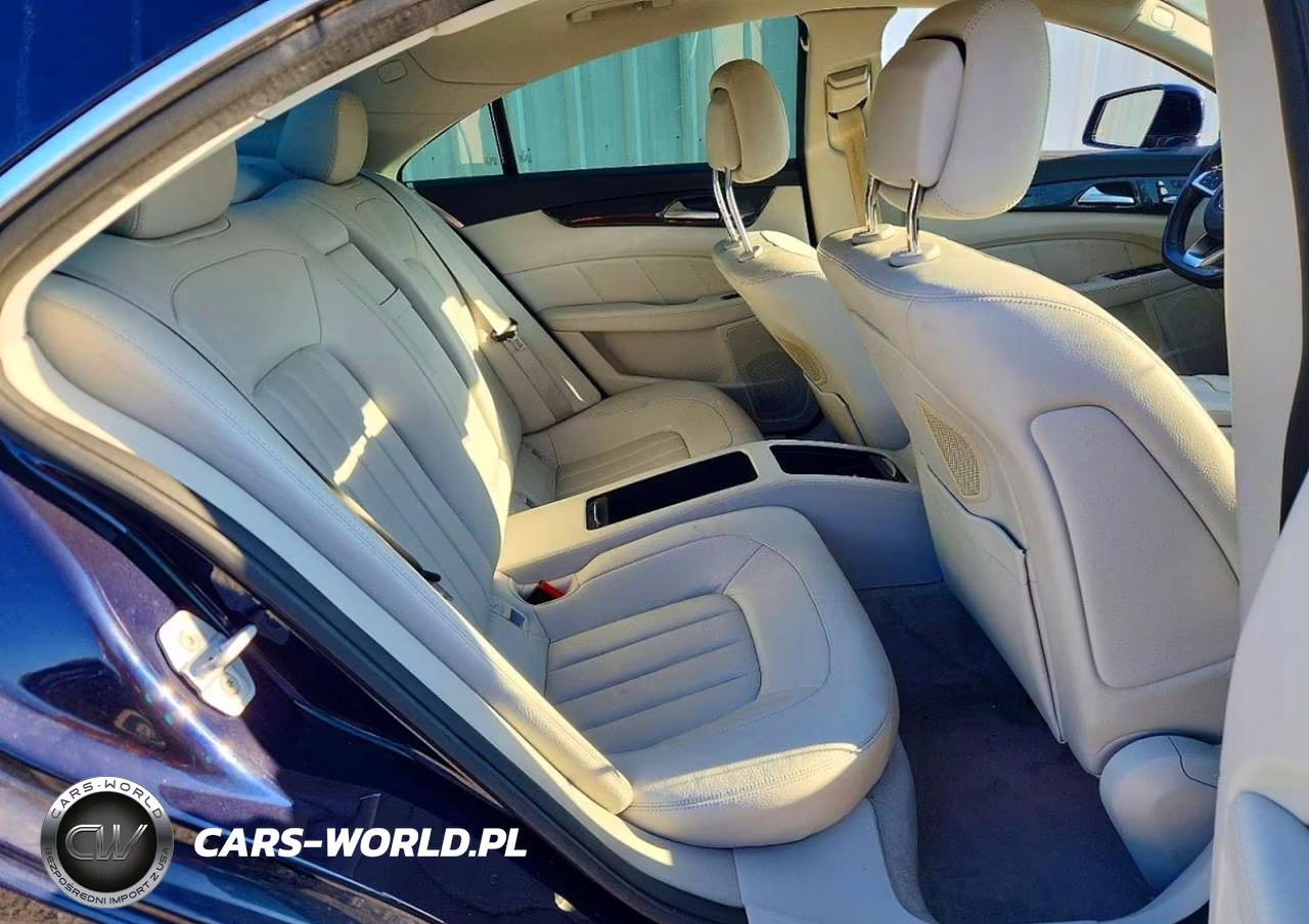 2016 Mercedes-Benz Cls 550 4Matic VIN:WDDLJ9BB7GA170606 - 10