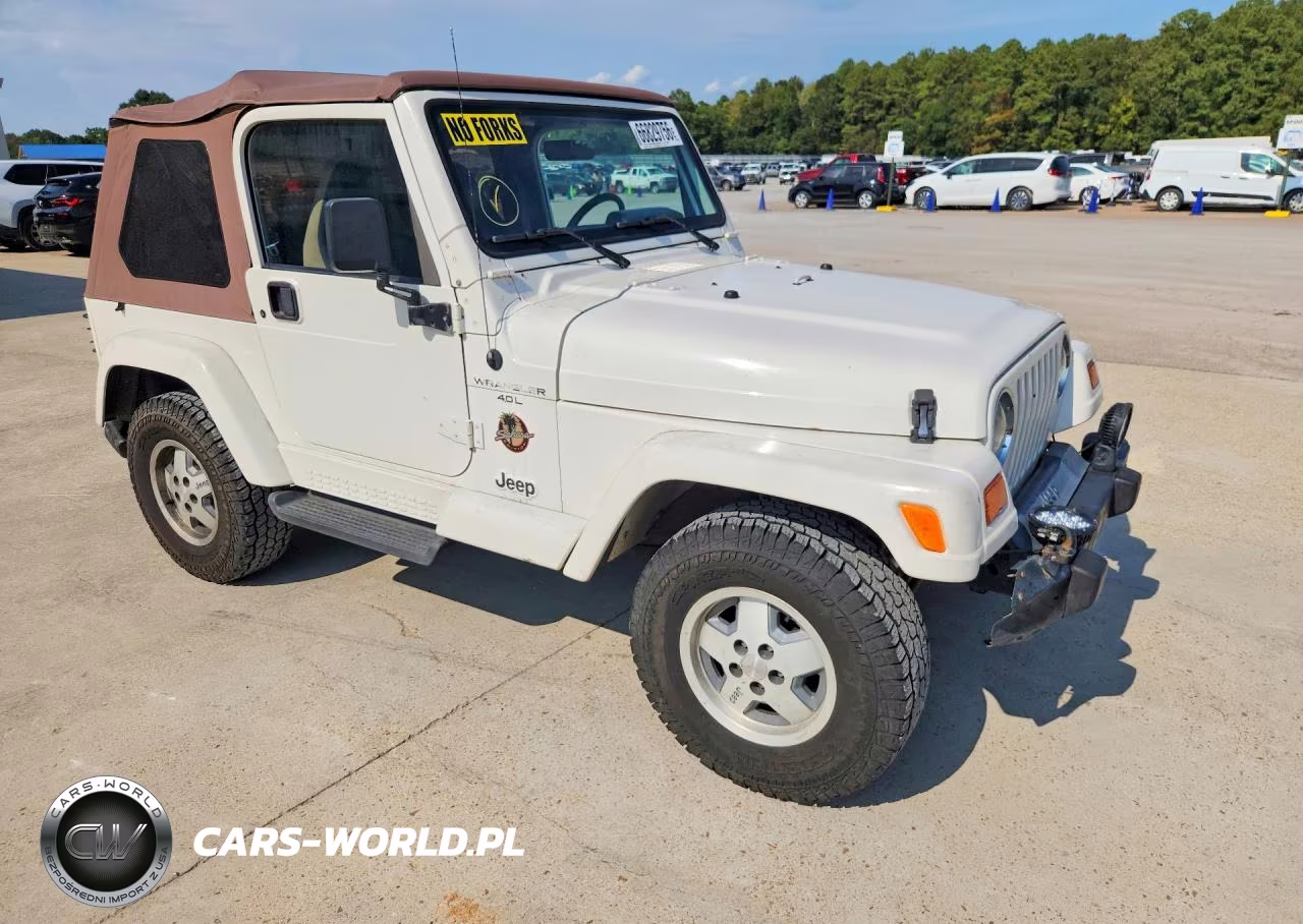 1999 Jeep Wrangler - Tj Sahara VIN:1J4FY49S8XP417389 - 4