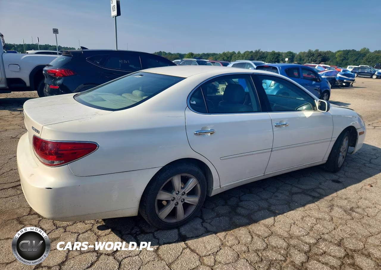 2005 Lexus Es 330 VIN:JTHBA30G855139564 - 3