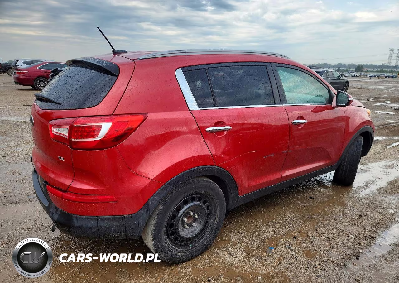 2013 Kia Sportage Ex VIN:KNDPC3A20D7365704 - 3