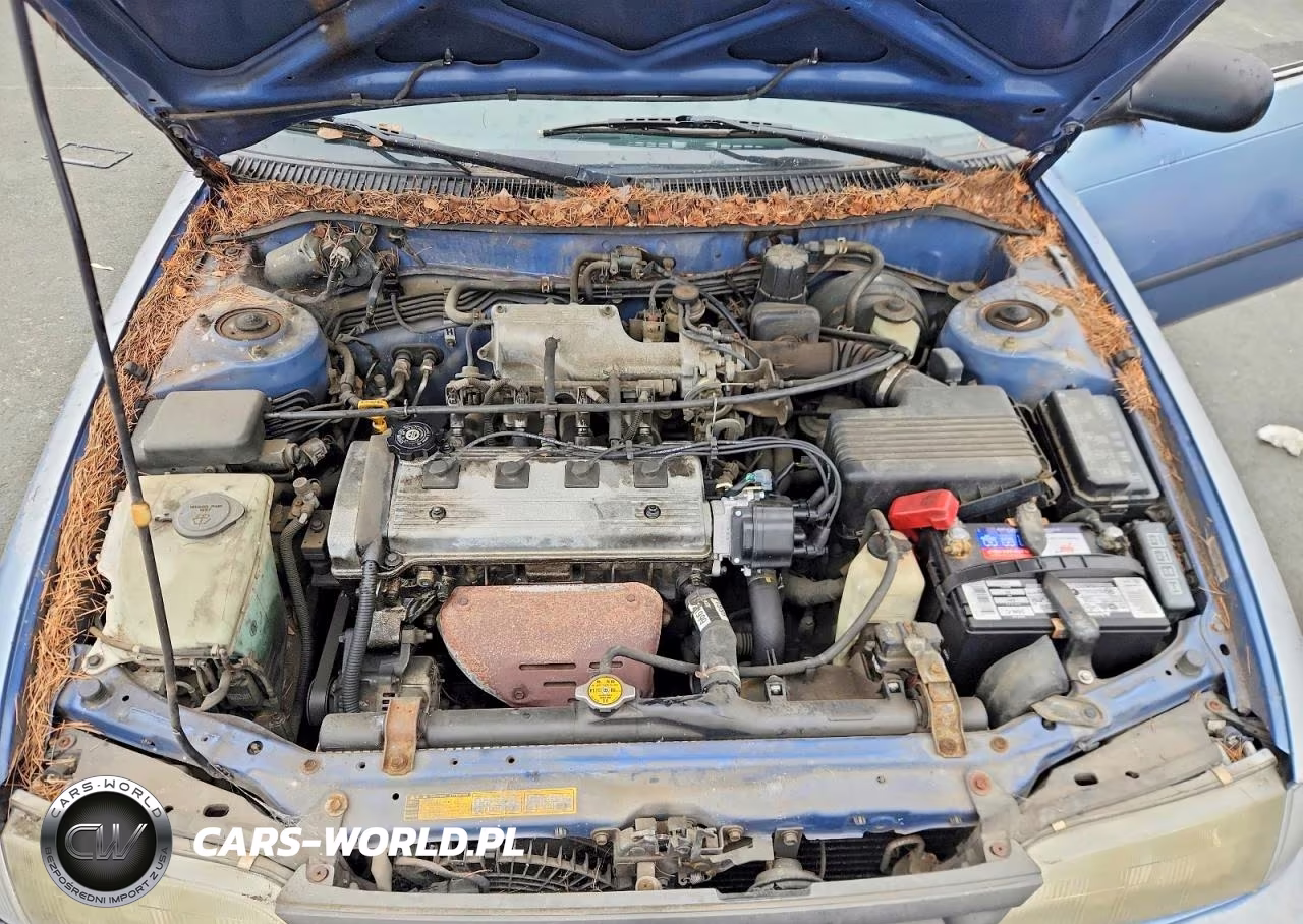 1995 Toyota Corolla Dx VIN:JT2AE09V7S0087668 - 11