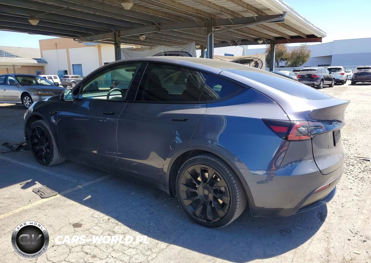2023 Tesla Model Y VIN:7SAYGAEE2PF862675 - 2