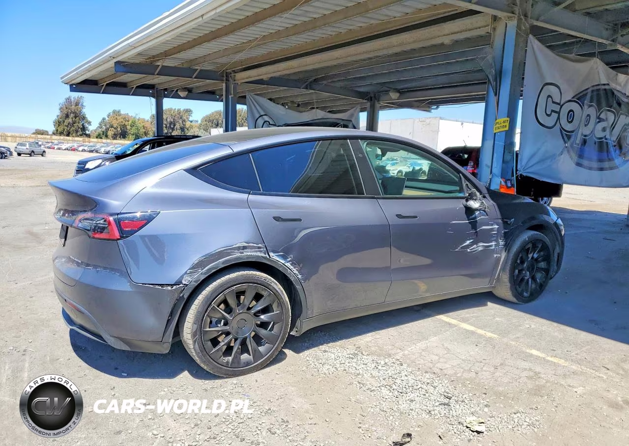 2023 Tesla Model Y VIN:7SAYGAEE2PF862675 - 3