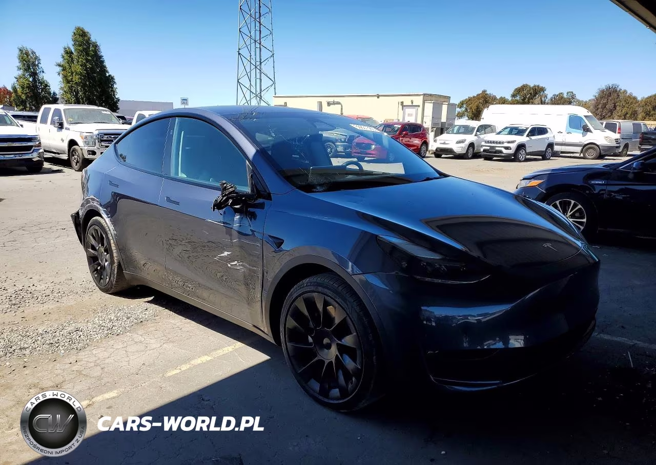 2023 Tesla Model Y VIN:7SAYGAEE2PF862675 - 4
