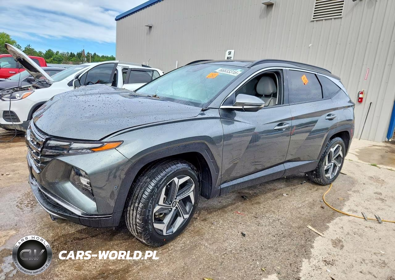 2023 Hyundai Tucson Limited VIN:5NMJECAE1PH246728 - 1