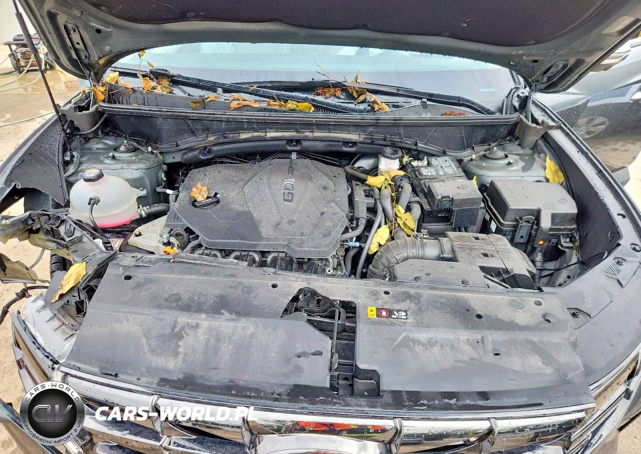 2023 Hyundai Tucson Limited VIN:5NMJECAE1PH246728 - 12
