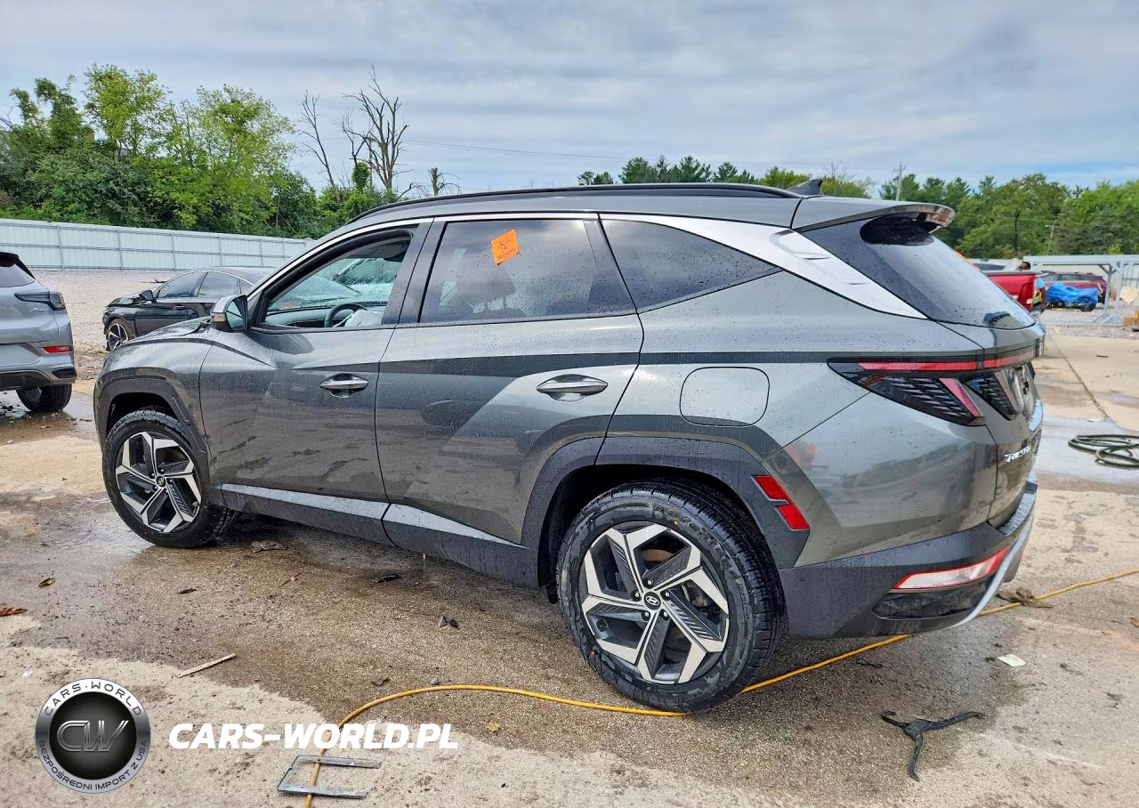 2023 Hyundai Tucson Limited VIN:5NMJECAE1PH246728 - 2